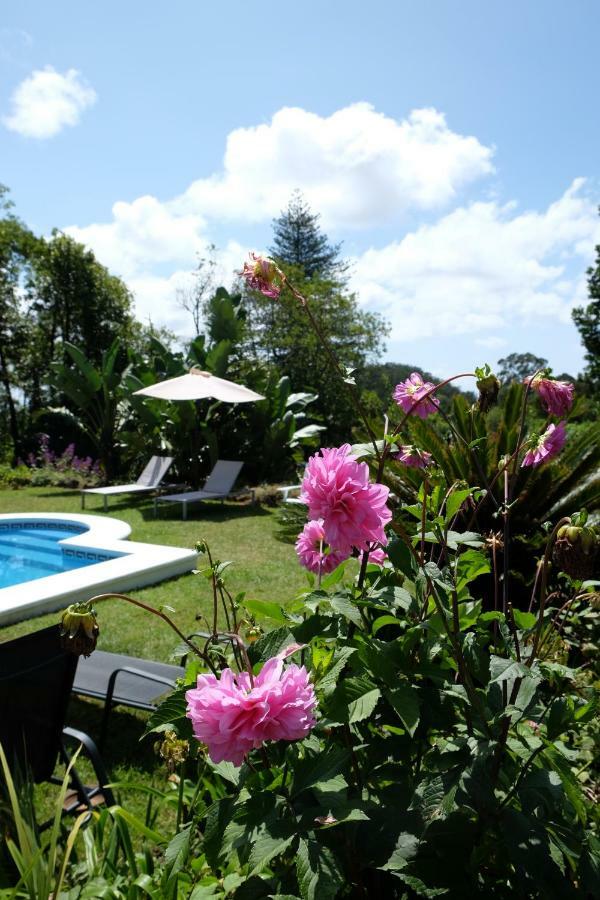 Pink House Azores Ponta Delgada Exteriér fotografie